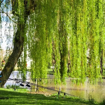 Papillon - Maison Chachelle