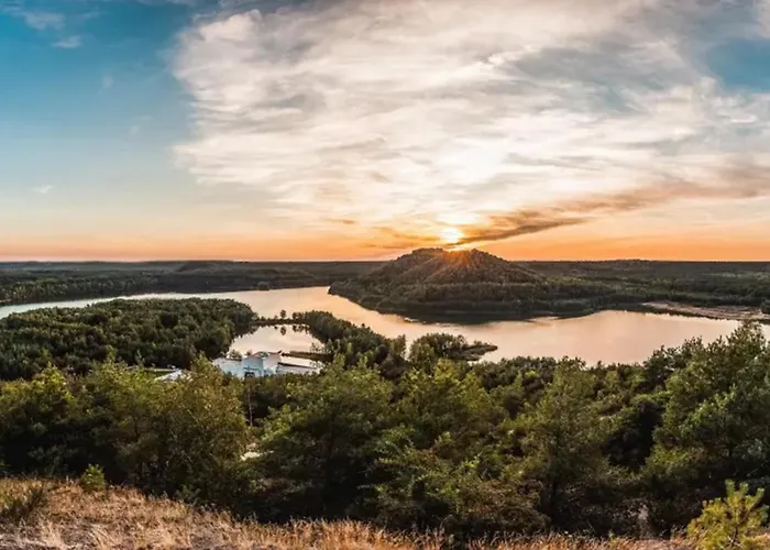 Papillon - Maison Chachelle Bouillon