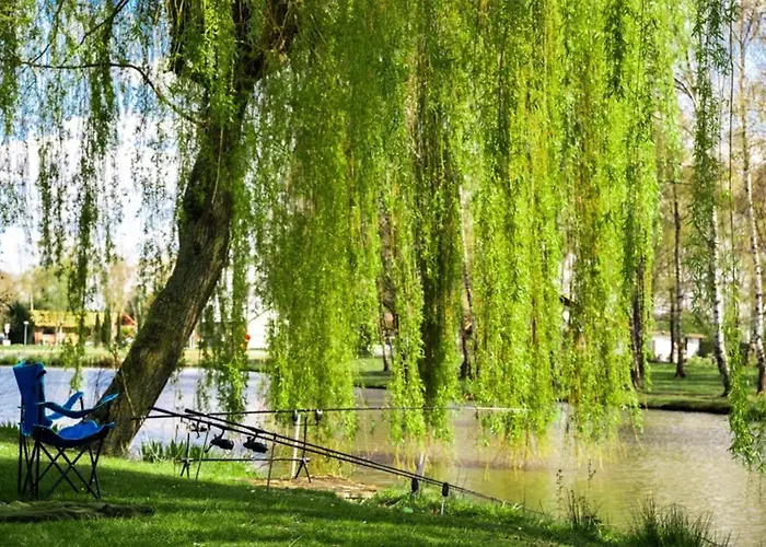 Papillon - Maison Chachelle