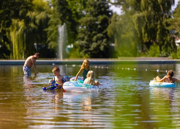 Papillon - Maison Chachelle *