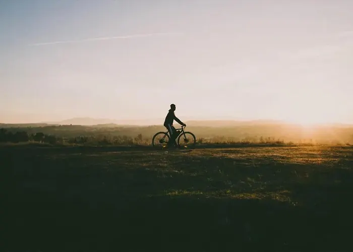 Papillon - Maison Chachelle * Bouillon